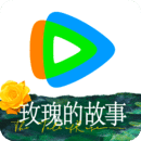 sm女王虐奴视频